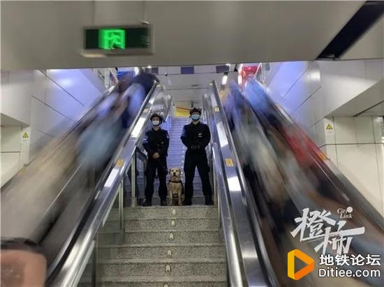杭州地铁公安开展“打狼”专项行动，严厉打击猥亵等案件
