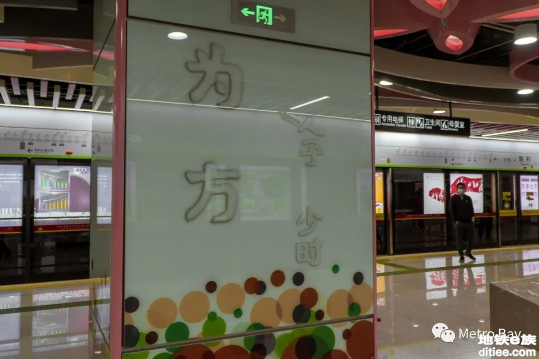 赏花赛艇游顺德——广州7号线西延段开通体验