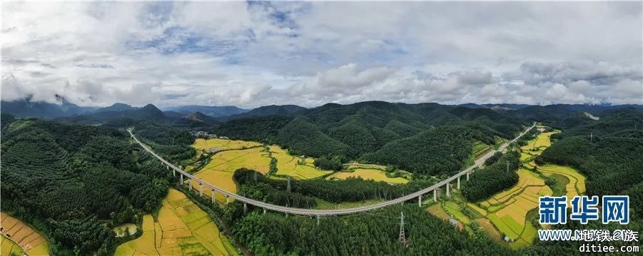 丰收时节 瞰中老铁路叠翠流金画卷