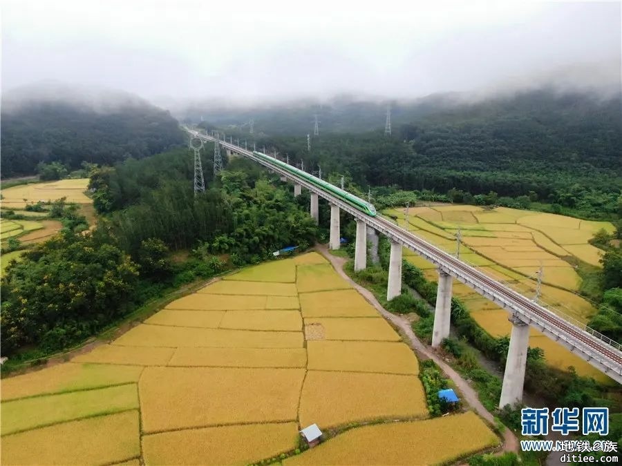 丰收时节 瞰中老铁路叠翠流金画卷