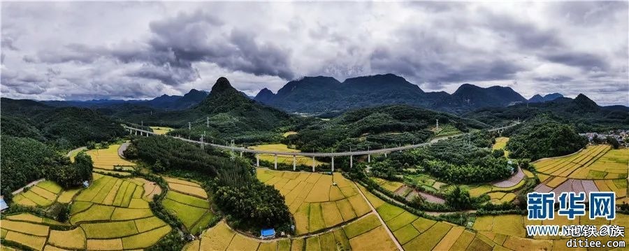 丰收时节 瞰中老铁路叠翠流金画卷