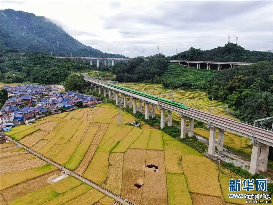 丰收时节 瞰中老铁路叠翠流金画卷