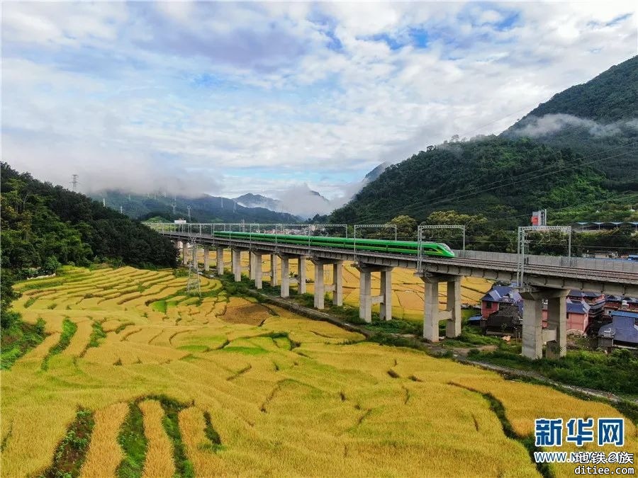 丰收时节 瞰中老铁路叠翠流金画卷