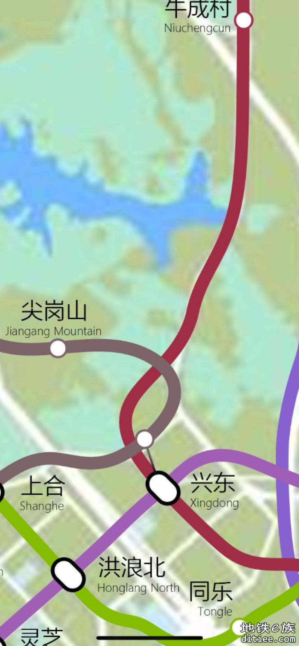 29号去尖岗山？