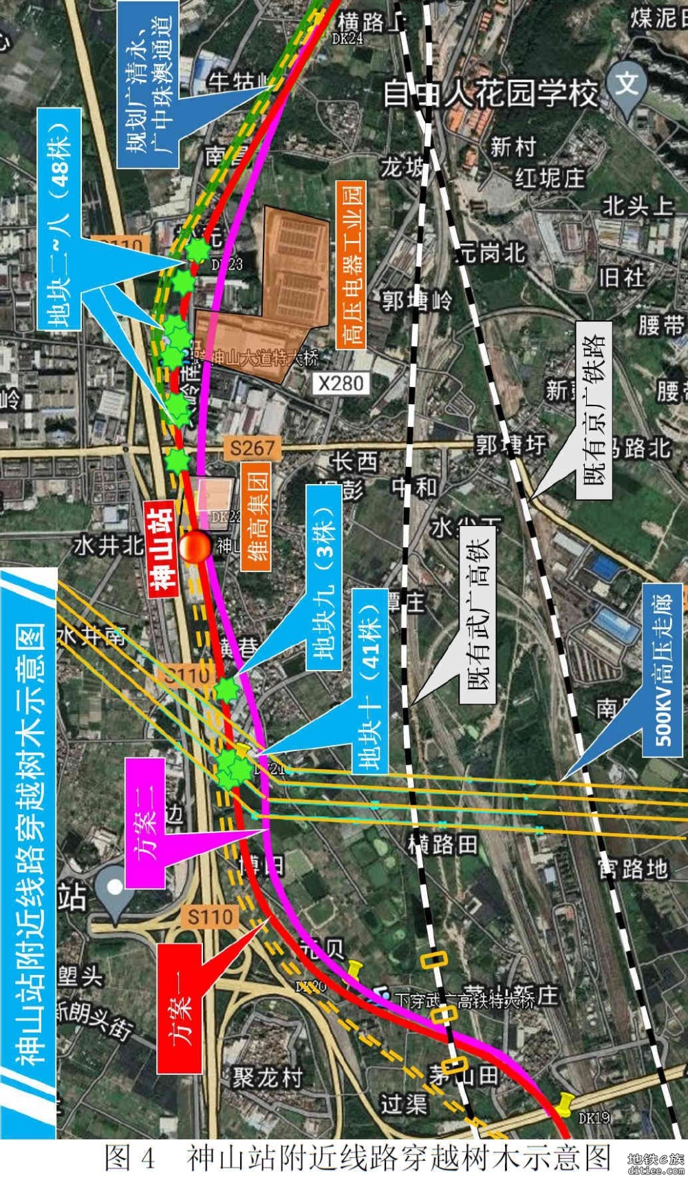 【广清南延】古树迁移征求公众意见公示