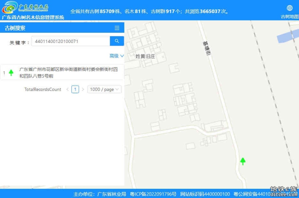 【广清南延】古树迁移征求公众意见公示