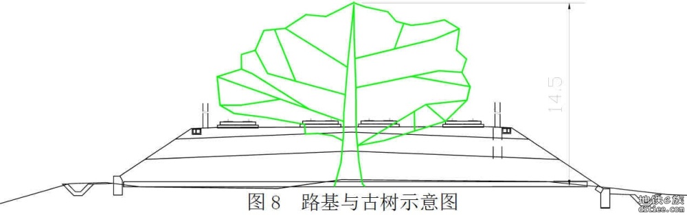 【广清南延】古树迁移征求公众意见公示