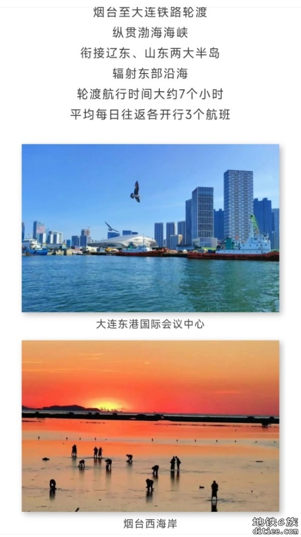买船票啦！网友：下次出游就这儿了