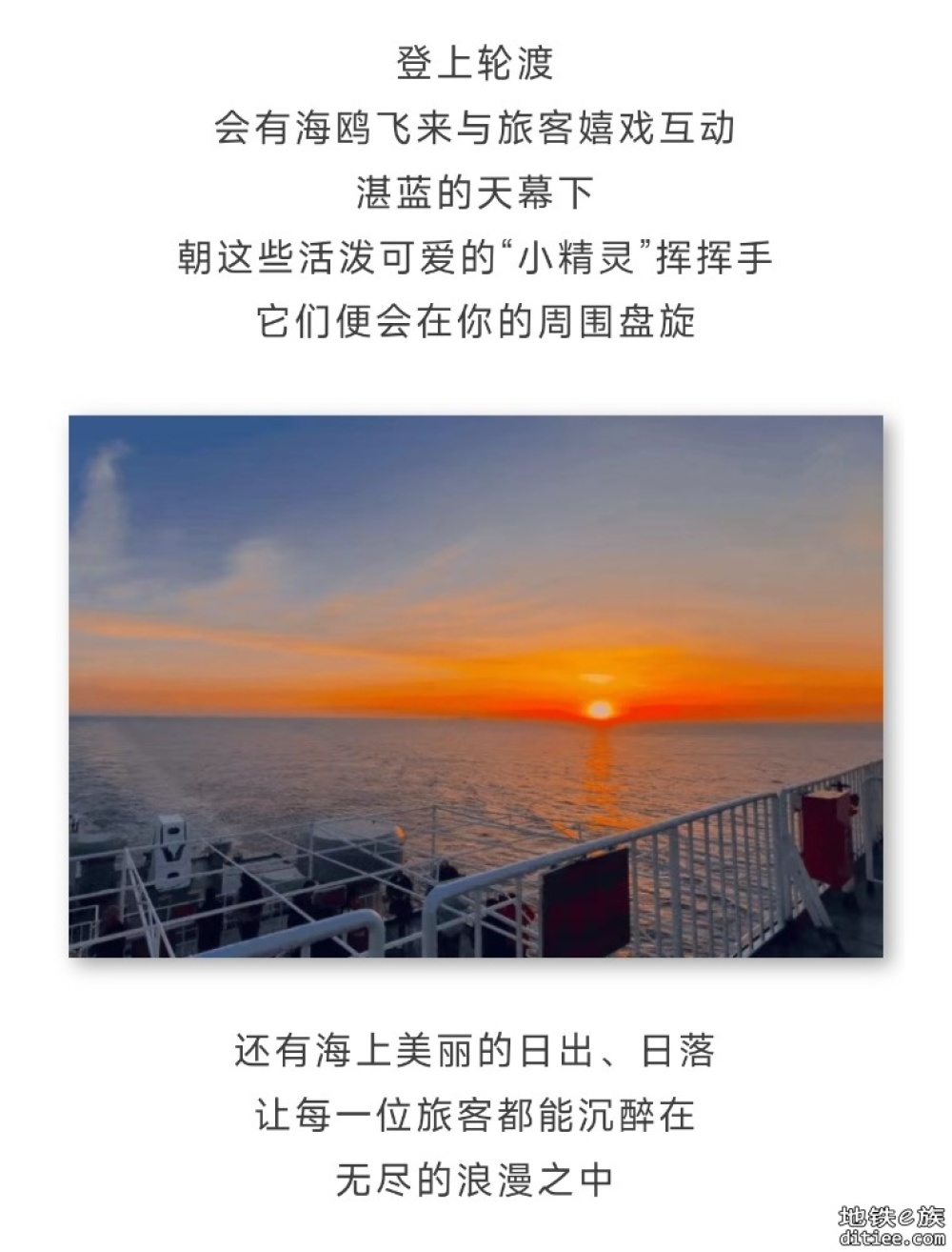 买船票啦！网友：下次出游就这儿了