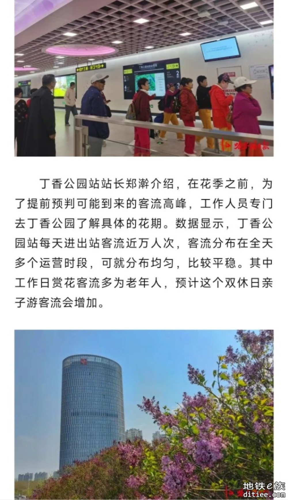 赏丁香正当时！​地铁丁香公园站日客流量近万人次，3、4号口直达花海