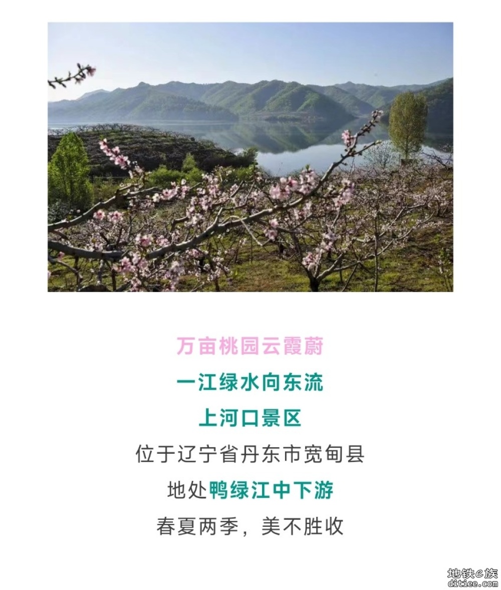 全程4公里！始发站12306查不到，终点站竟是“1950”……