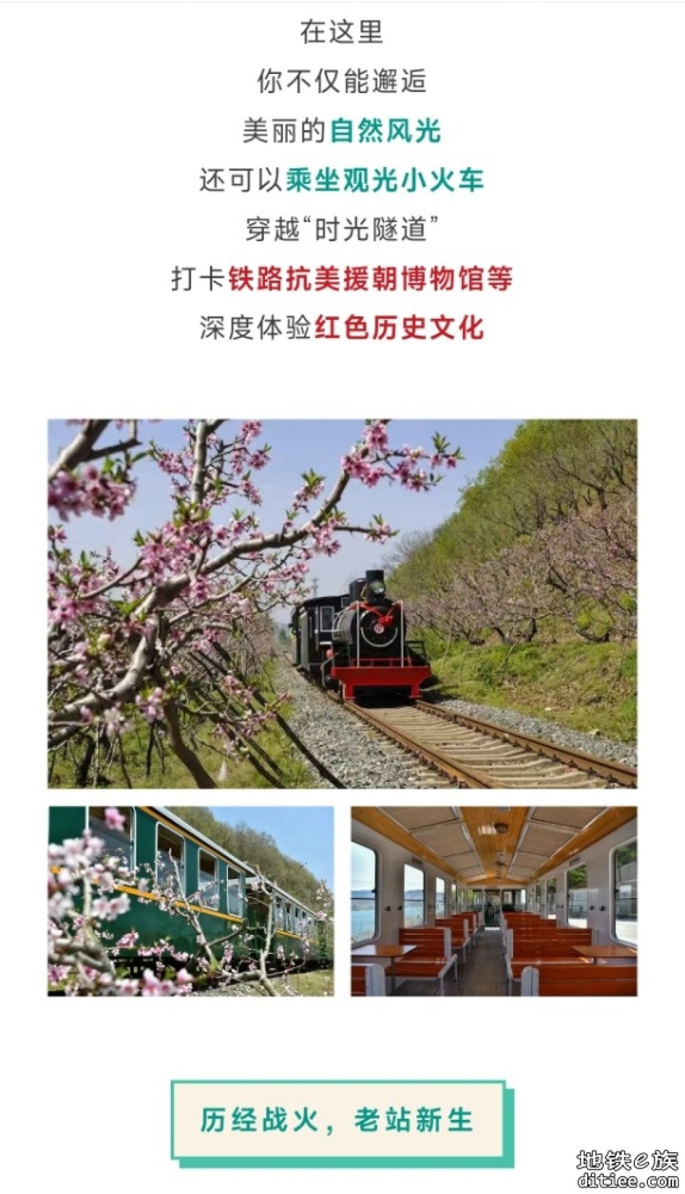 全程4公里！始发站12306查不到，终点站竟是“1950”……