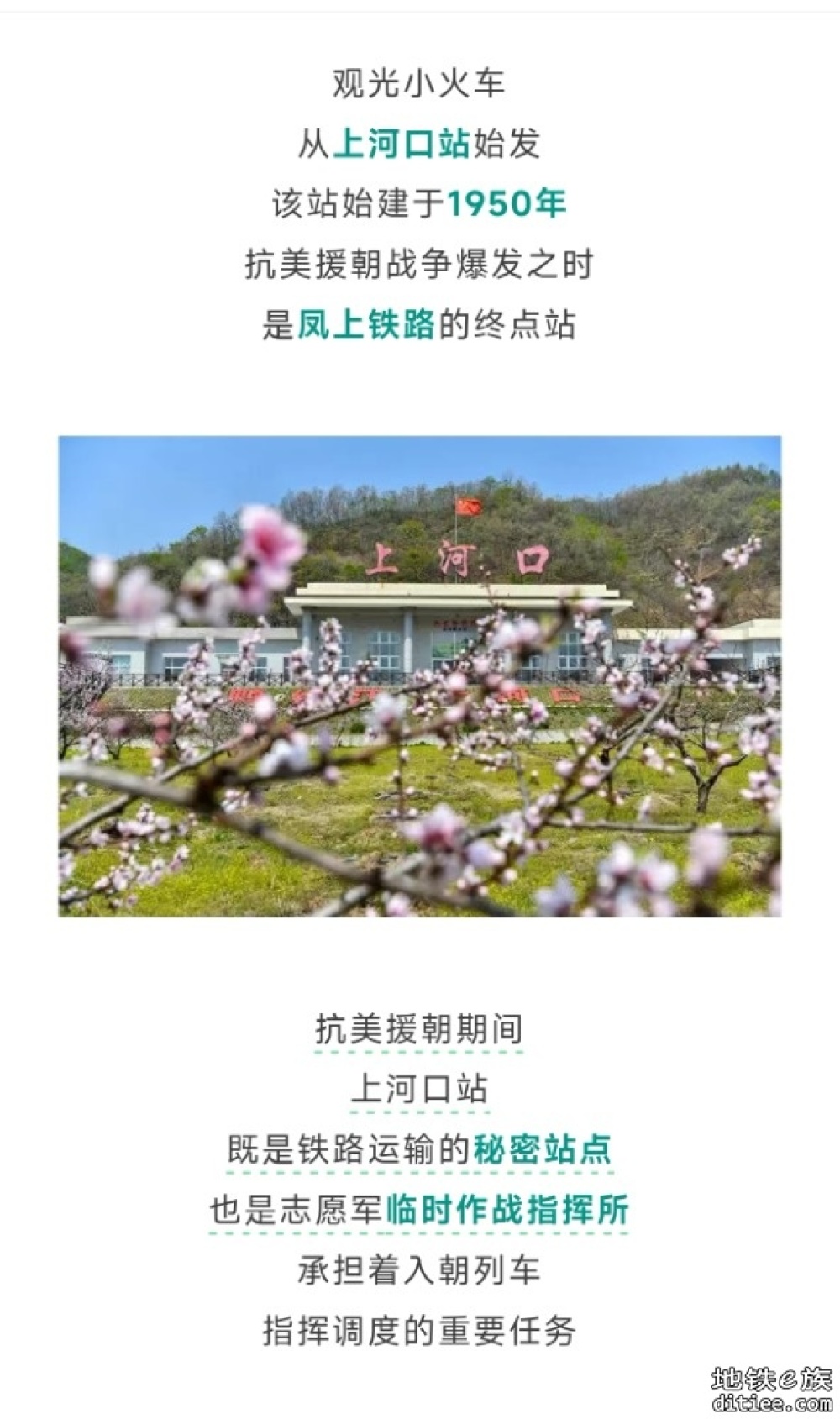 全程4公里！始发站12306查不到，终点站竟是“1950”……