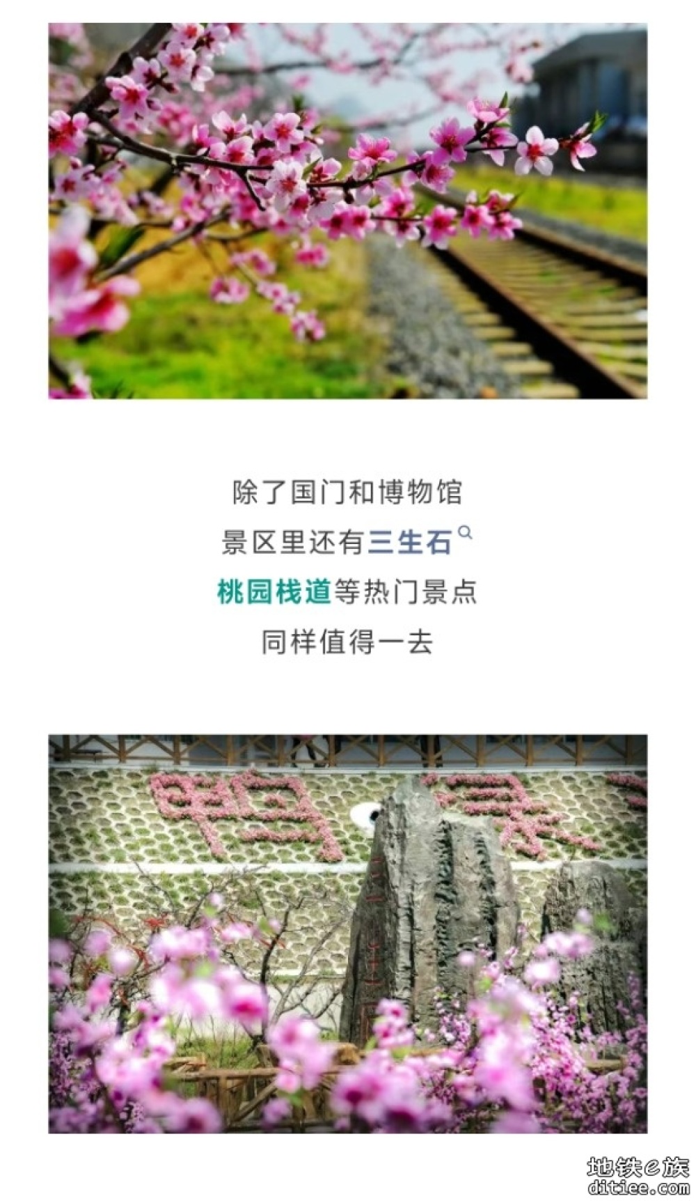 全程4公里！始发站12306查不到，终点站竟是“1950”……