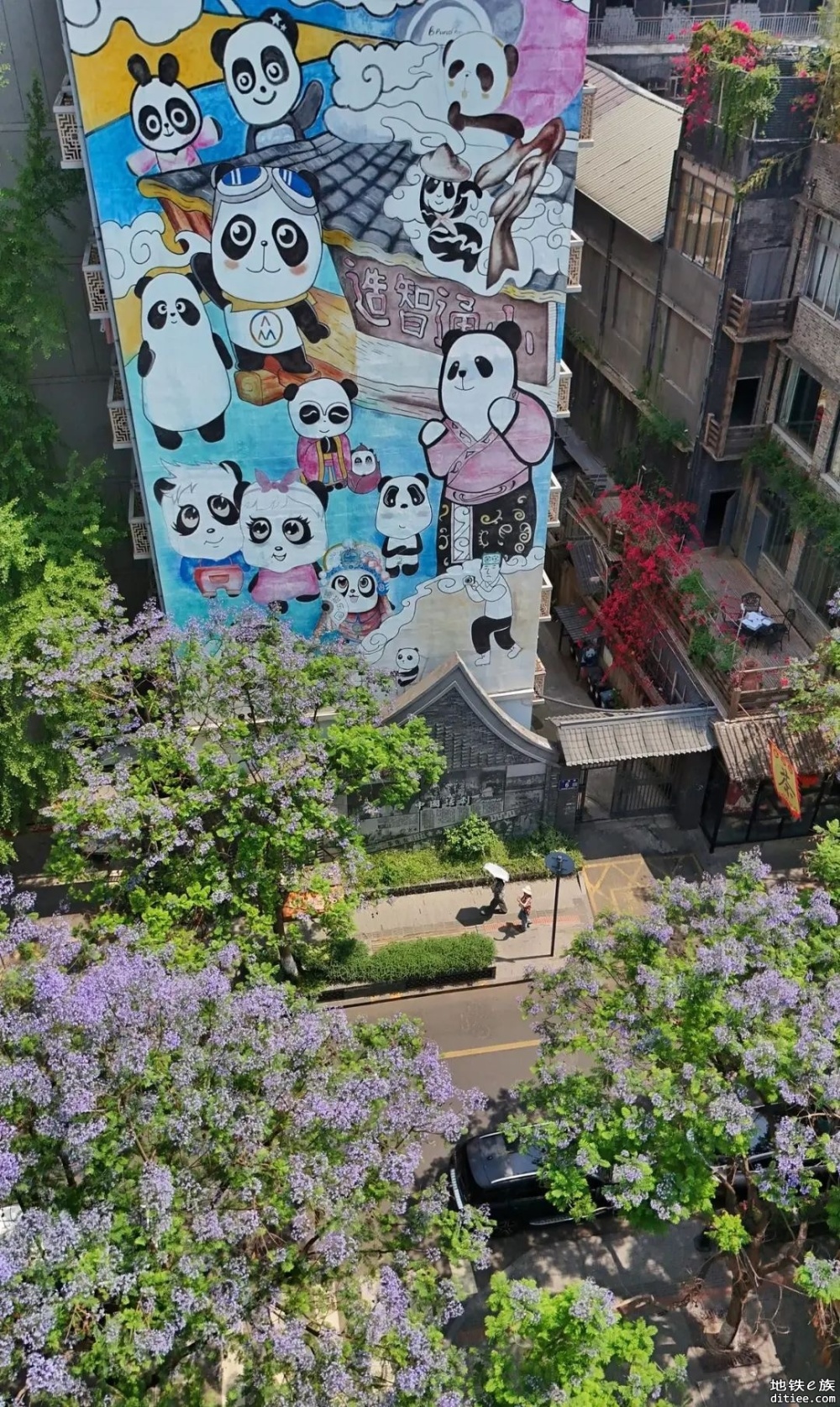 WOW～成都初夏限定美景，绝绝紫！坐着地铁去看蓝花楹