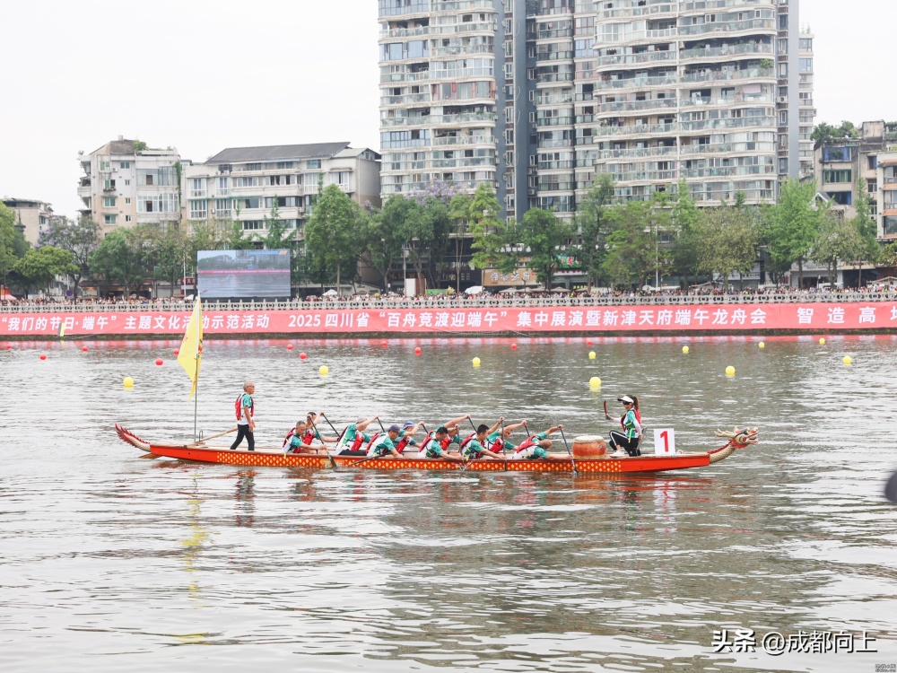 新津龙舟会好闹热，会转化成地铁客流吗？