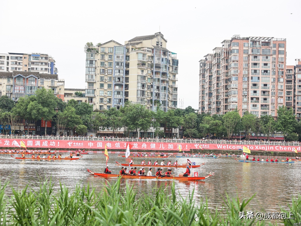新津龙舟会好闹热，会转化成地铁客流吗？