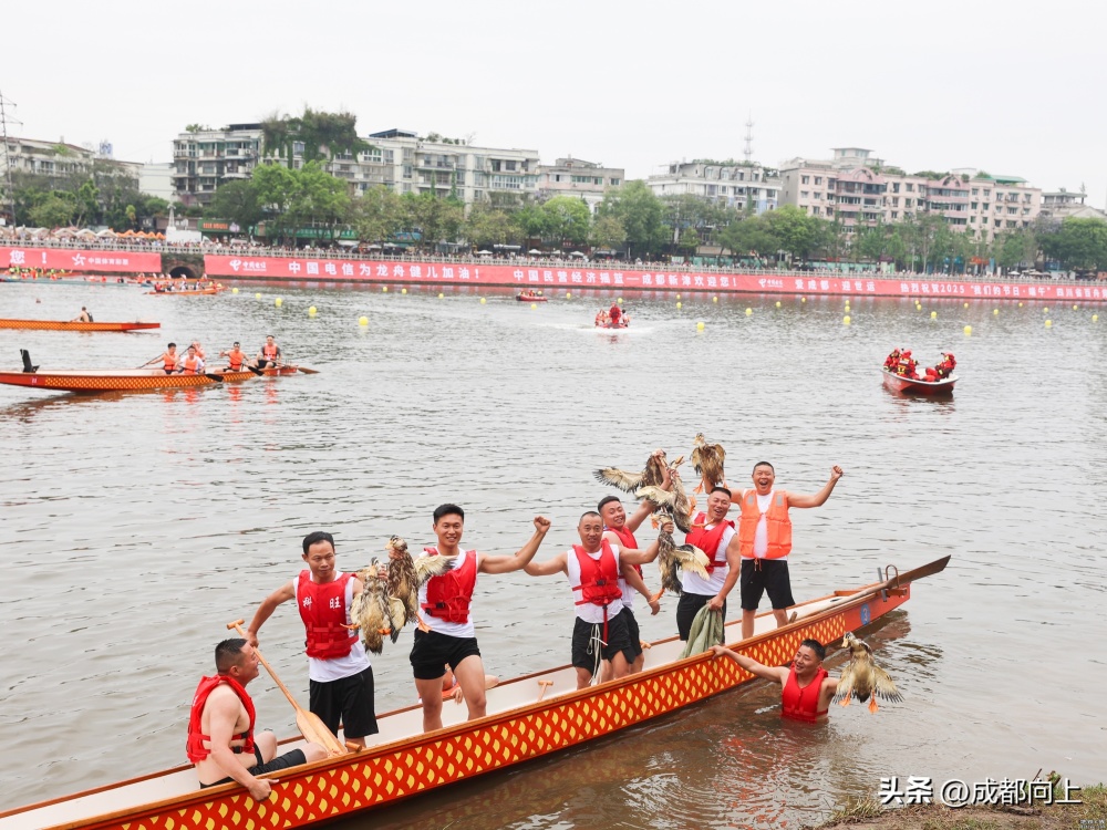 新津龙舟会好闹热，会转化成地铁客流吗？