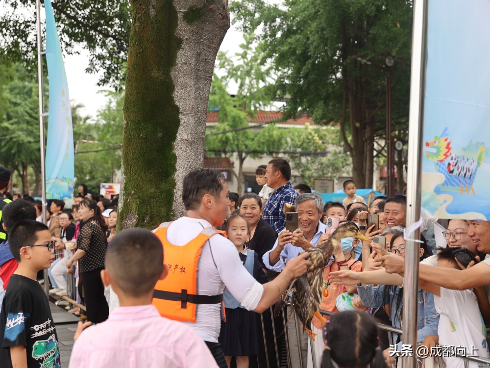 新津龙舟会好闹热，会转化成地铁客流吗？