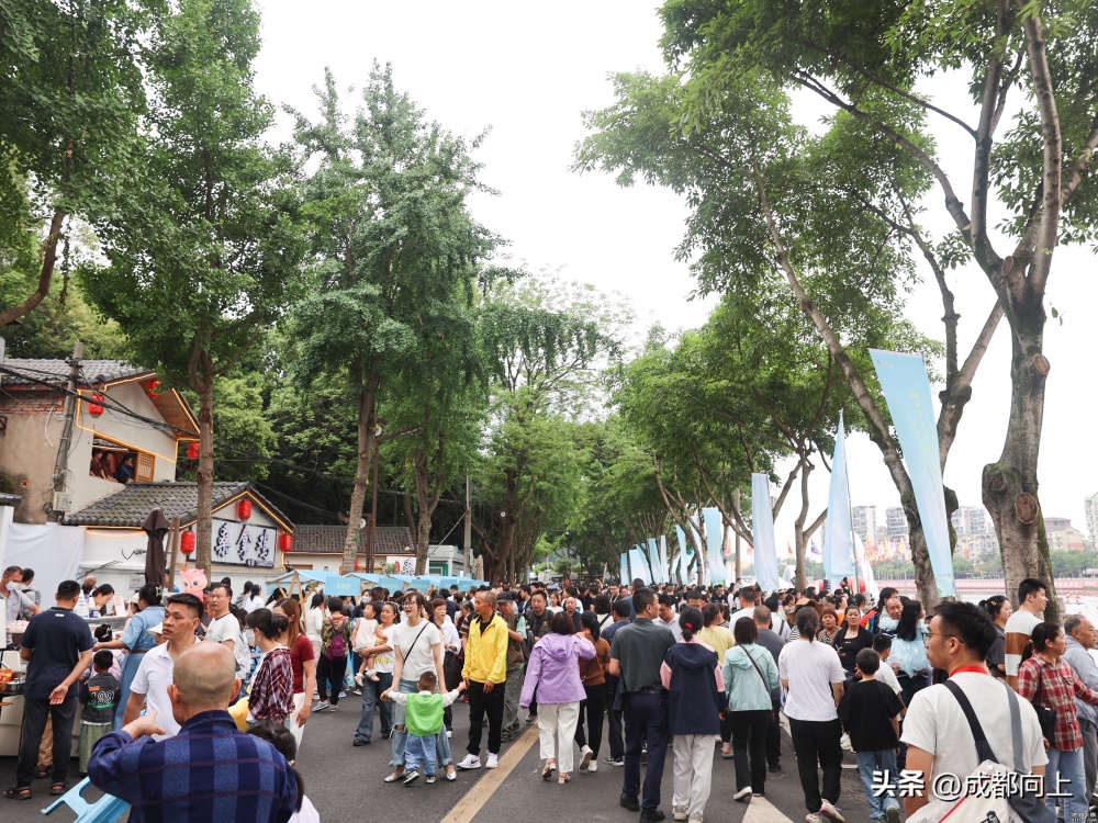 新津龙舟会好闹热，会转化成地铁客流吗？