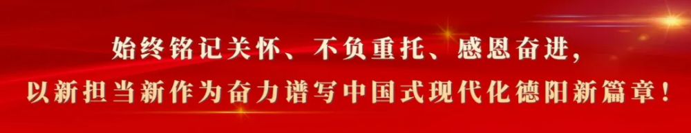 新津龙舟会好闹热，会转化成地铁客流吗？
