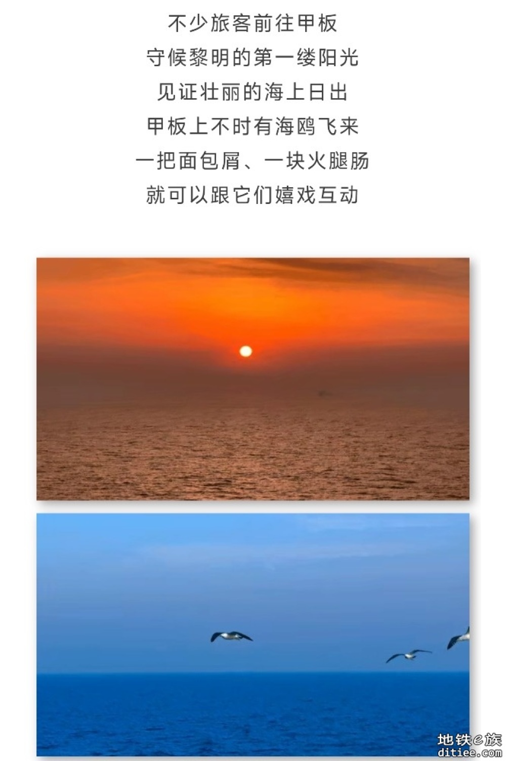 铁路轮渡是什么？网友：海上“移动城堡”