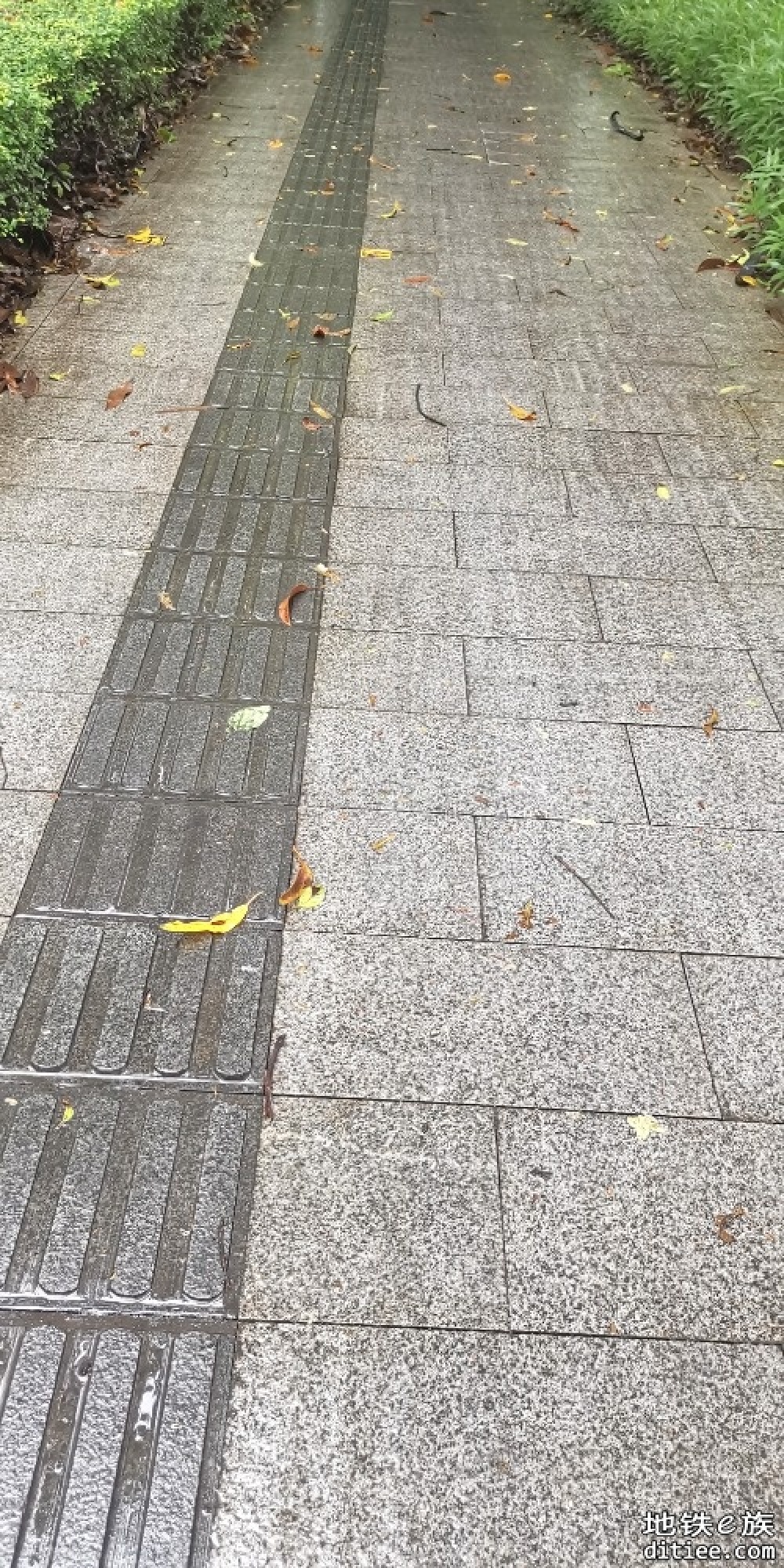 国家发改委暂不受理地铁建设规划申报