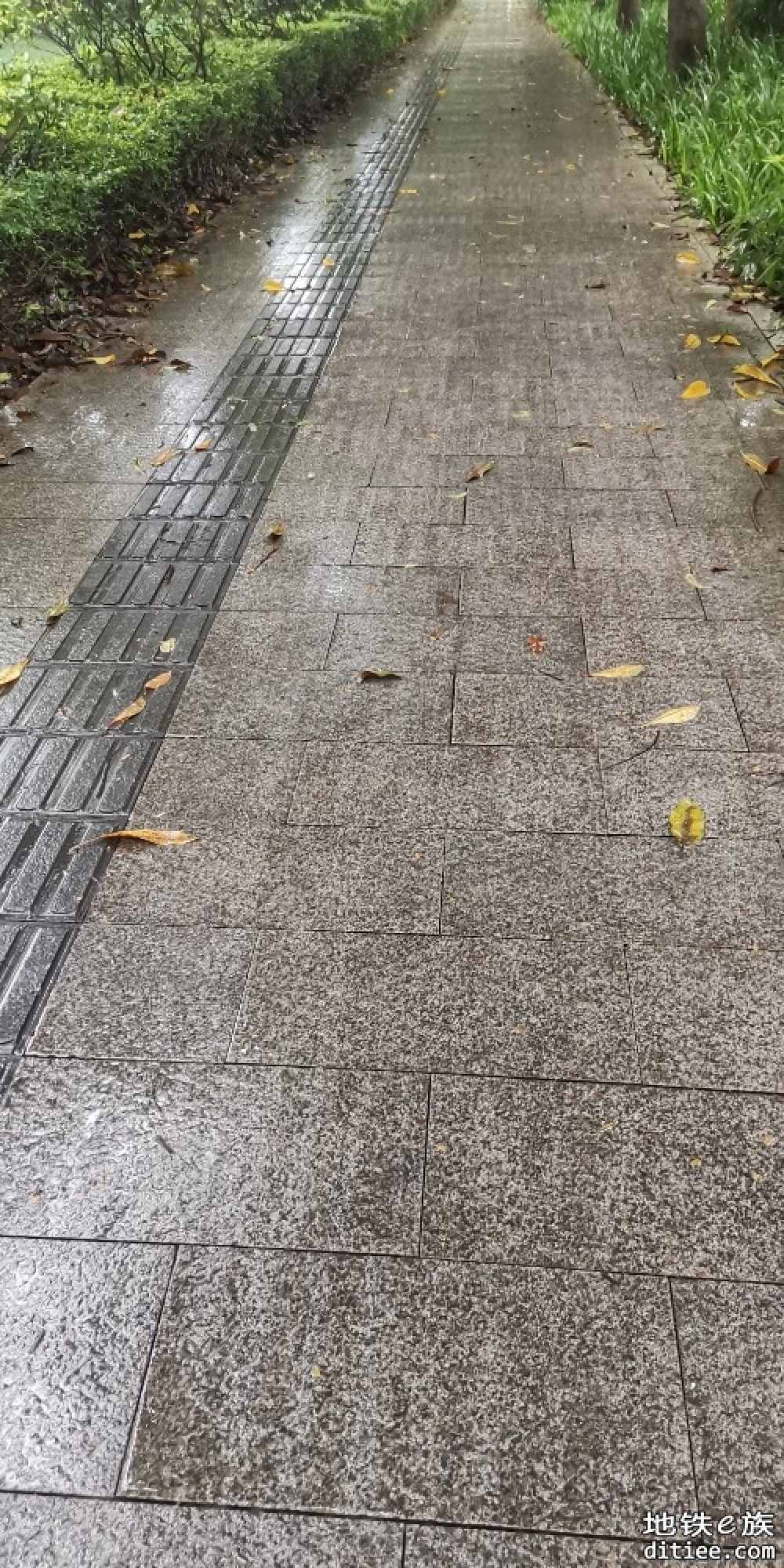 国家发改委暂不受理地铁建设规划申报